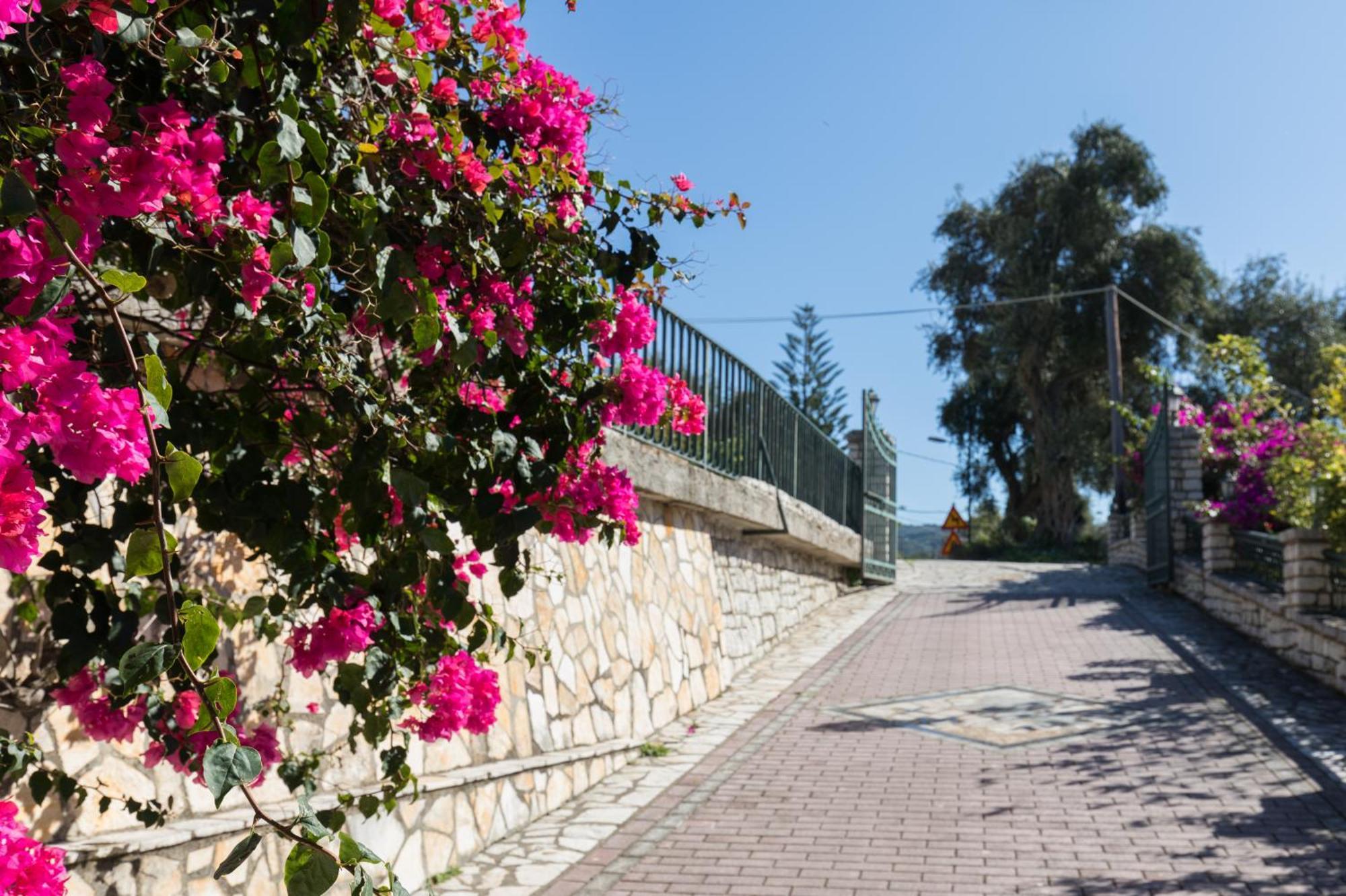 Villa Anthoussa In Palaiokastritsa Luaran gambar
